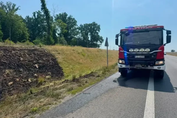 Pożar traw na S5 – strażacy z Lipna w akcji