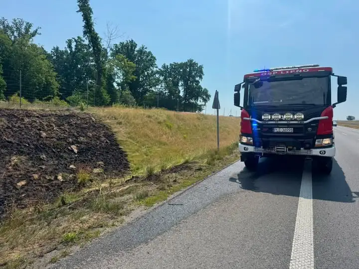 Pożar traw na S5 – strażacy z Lipna w akcji