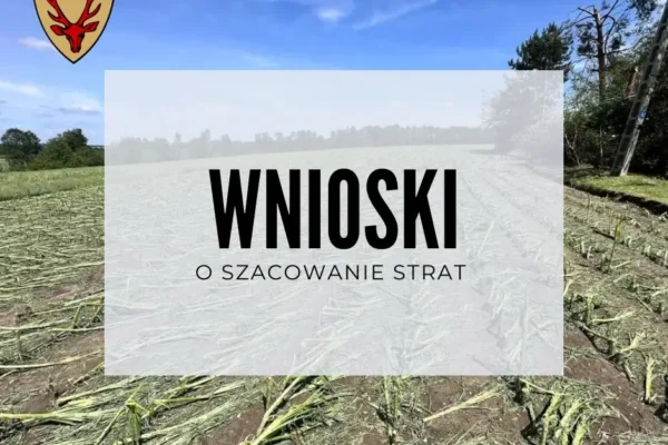Gradobicie w gminie Osieczna: ruszyło przyjmowanie wniosków o szacowanie strat w uprawach
