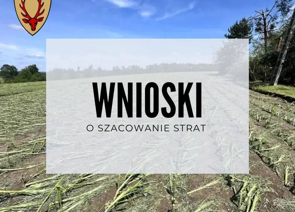 Gradobicie w gminie Osieczna: ruszyło przyjmowanie wniosków o szacowanie strat w uprawach