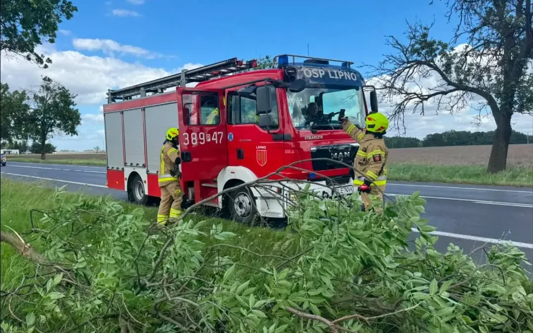 Strażacy usuwali złamane gałęzie z drogi DW309 w Karolewku