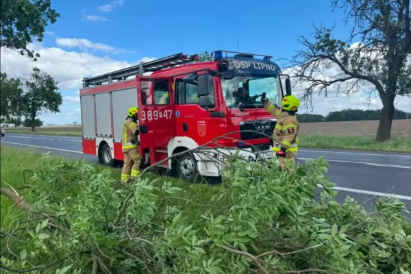 Strażacy usuwali złamane gałęzie z drogi DW309 w Karolewku