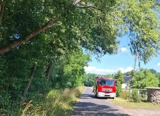 OSP Święciechowa i JRG Leszno usunęli pochylone drzewo w Ogrodach