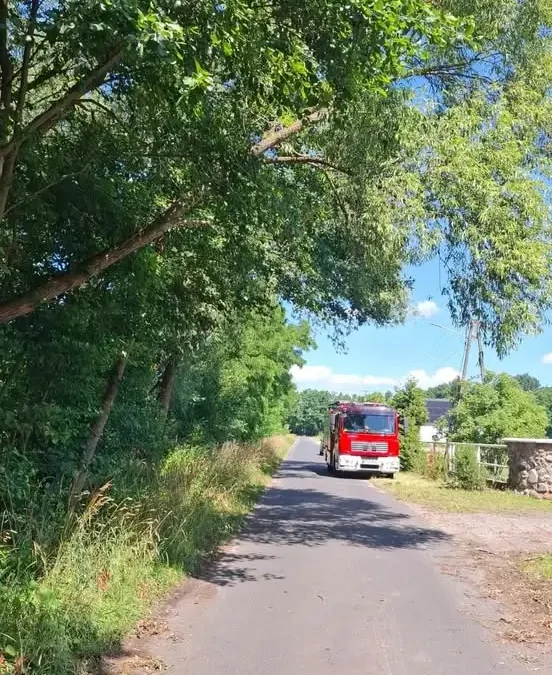OSP Święciechowa i JRG Leszno usunęli pochylone drzewo w Ogrodach