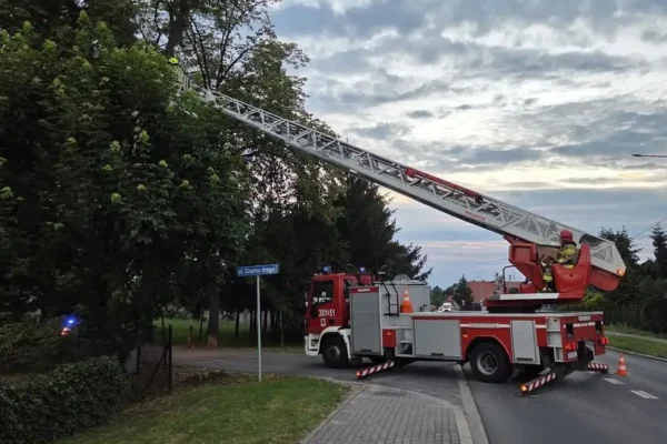 Strażacy usunęli zwisającą gałąź w Święciechowie