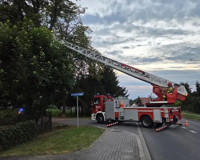 Strażacy usunęli zwisającą gałąź w Święciechowie