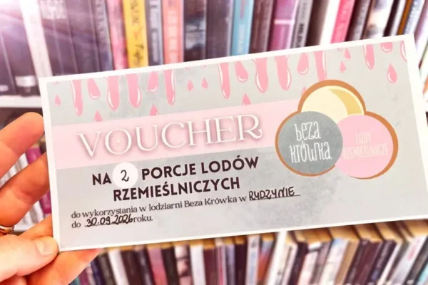 Wakacyjna akcja czytelnicza w Rydzynie – lody za książki