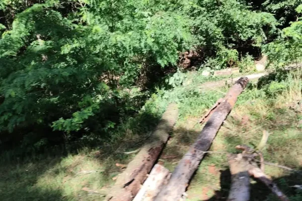 Powalone drzewa blokują ścieżkę rowerową i drogę w Julinku