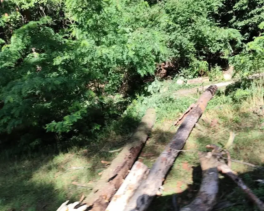 Powalone drzewa blokują ścieżkę rowerową i drogę w Julinku