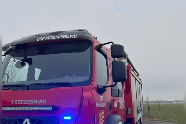 Strażacy z OSP Krzemieniewo usuwali szerszenie w Pawłowicach