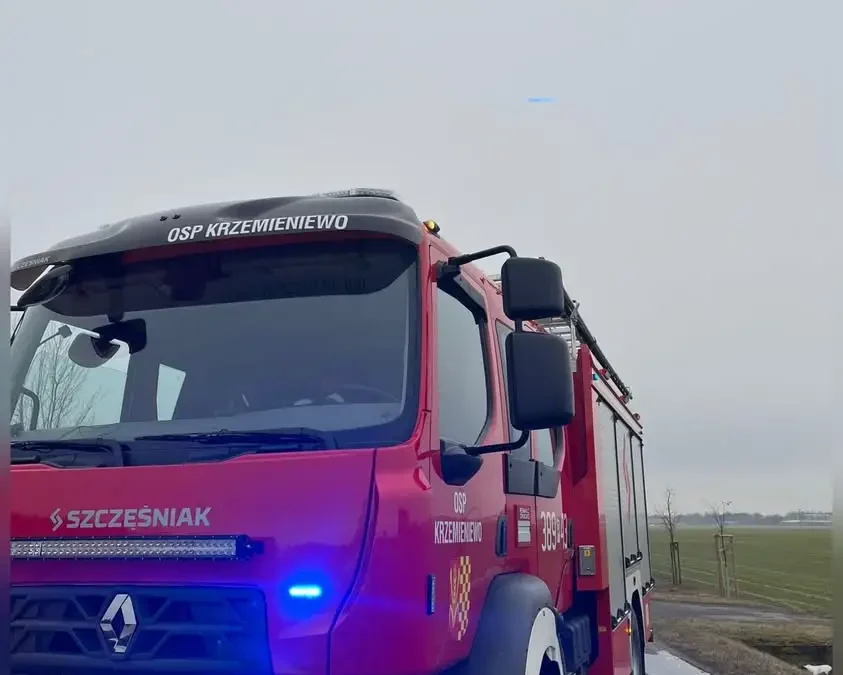 Strażacy z OSP Krzemieniewo usuwali szerszenie w Pawłowicach