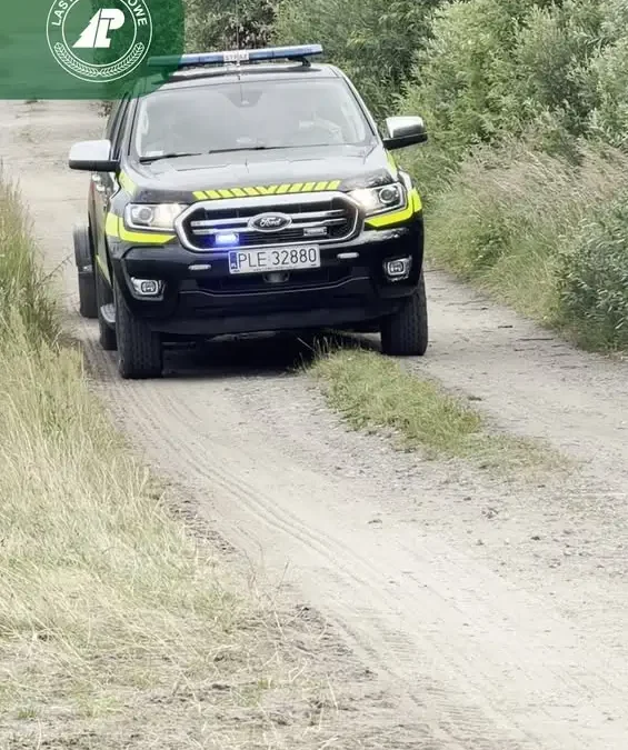 Strażacy ćwiczyli gaszenie pożarów lasu w Nadleśnictwie Karczma Borowa