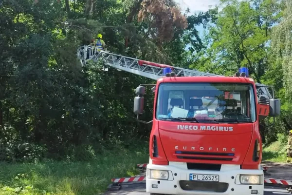 Strażacy usunęli zwisające gałęzie nad drogą w Górce Duchownej