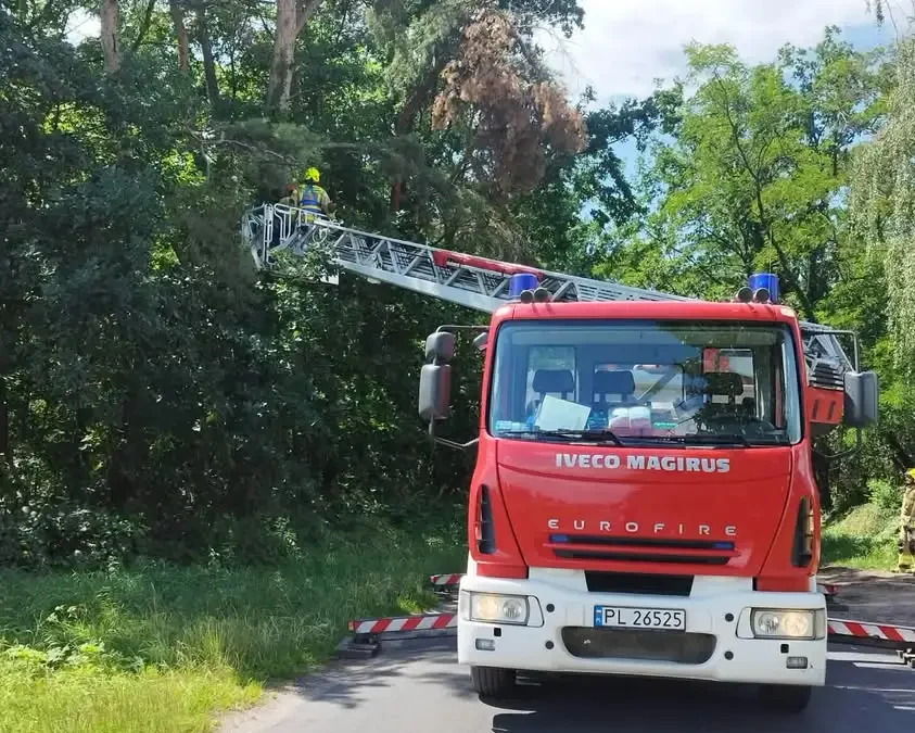 Strażacy usunęli zwisające gałęzie nad drogą w Górce Duchownej