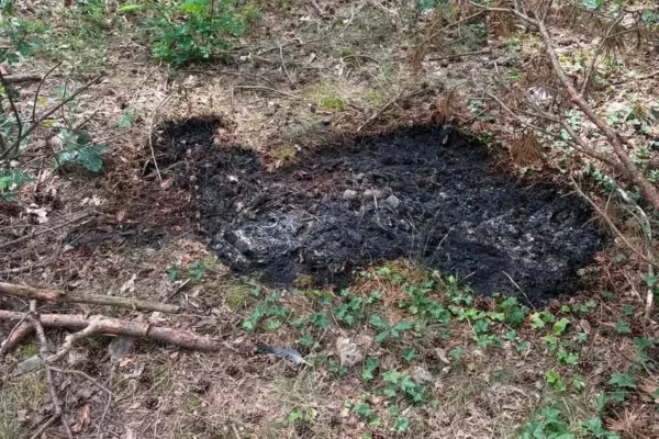 Pożar w Boszkowie Letnisku – interwencja OSP Włoszakowice