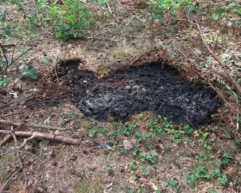Pożar w Boszkowie Letnisku – interwencja OSP Włoszakowice