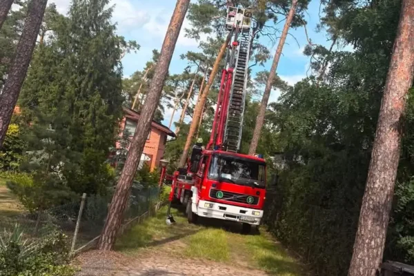 Zwisająca gałąź w Boszkowie Letnisku – interwencja OSP Włoszakowice