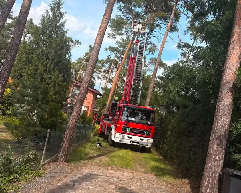 Zwisająca gałąź w Boszkowie Letnisku – interwencja OSP Włoszakowice