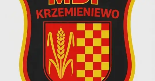 Młodzieżowa Drużyna Pożarnicza OSP Krzemieniewo ma już swoją stronę!