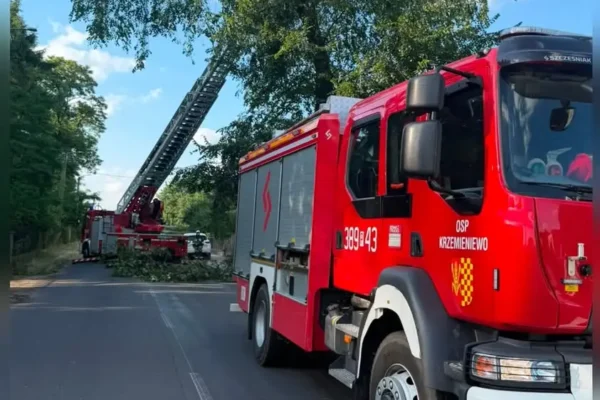 OSP Krzemieniewo usuwa nadłamaną gałąź w Oporówku