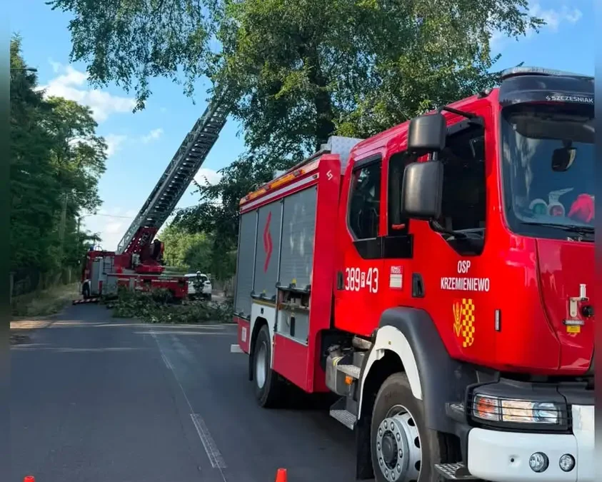 OSP Krzemieniewo usuwa nadłamaną gałąź w Oporówku
