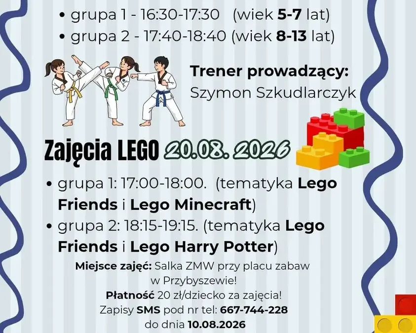 Wakacyjne zajęcia dla dzieci w Przybyszewie – taekwondo i LEGO w sierpniu