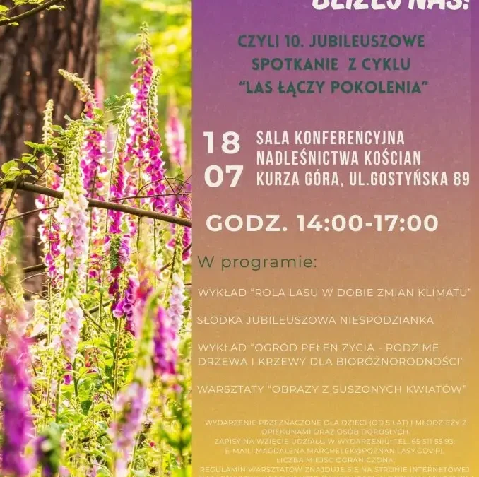 Nadleśnictwo Kościan zaprasza na bezpłatne spotkanie przyrodnicze „Bioróżnorodność bliżej nas”
