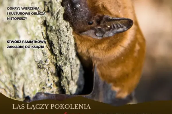 Las łączy Pokolenia: spotkanie o nietoperzach w Nadleśnictwie Kościan