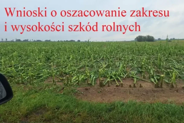 Rolnicy z gminy Lipno mogą składać wnioski o odszkodowania po nawałnicy