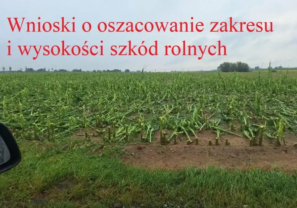 Rolnicy z gminy Lipno mogą składać wnioski o odszkodowania po nawałnicy