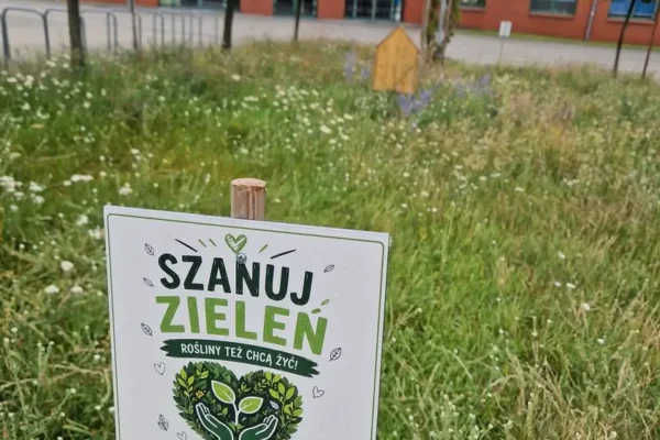 Łąki kwietne w Lesznie – naturalne oazy w miejskiej dżungli