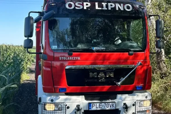 Strażacy z OSP Lipno usunęli drzewo pochylone nad drogą w Klonówcu