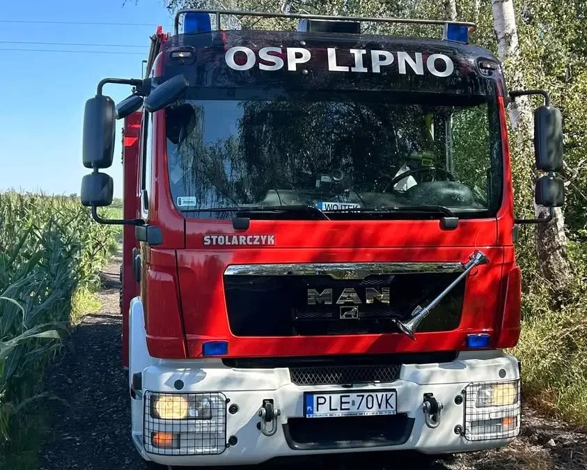 Strażacy z OSP Lipno usunęli drzewo pochylone nad drogą w Klonówcu