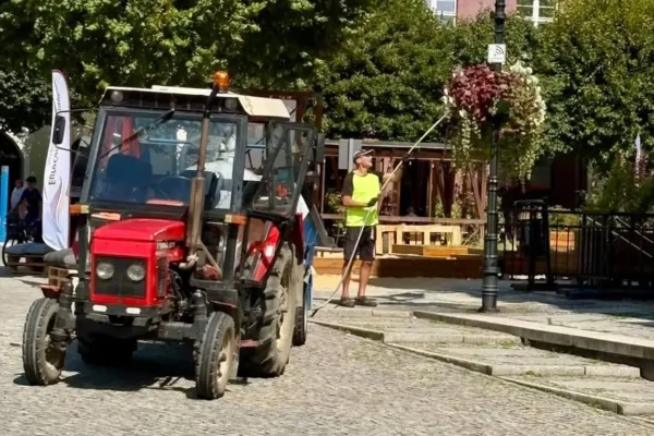 Leszno dba o zieleń miejską w czasie upałów