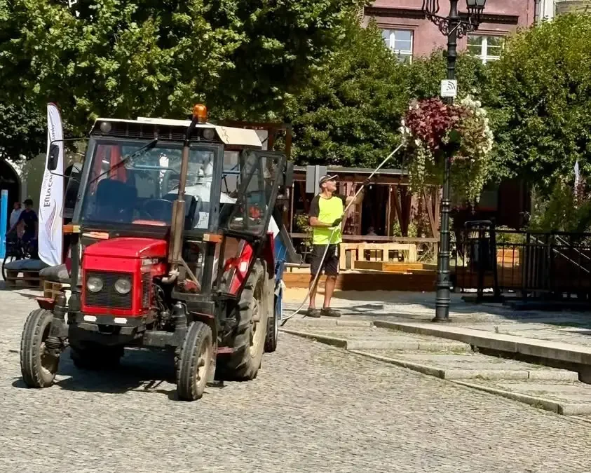 Leszno dba o zieleń miejską w czasie upałów
