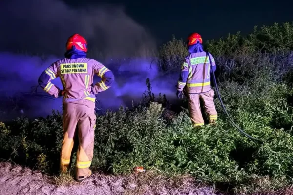 Pożar śmieci i pozostałości roślinnych w Wąsach Wsi – interwencja strażaków
