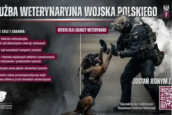 Służba Weterynaryjna Wojska Polskiego szuka lekarzy weterynarii