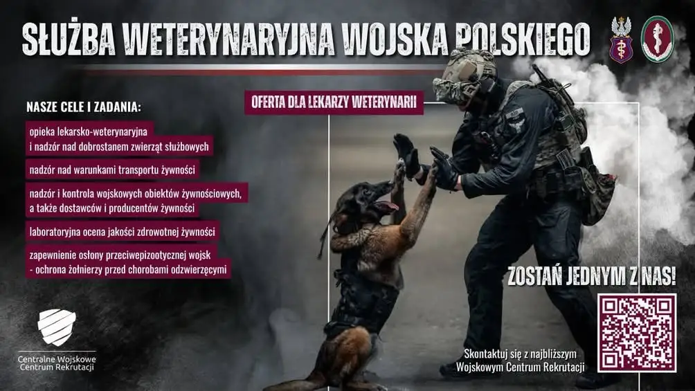 Służba Weterynaryjna Wojska Polskiego szuka lekarzy weterynarii