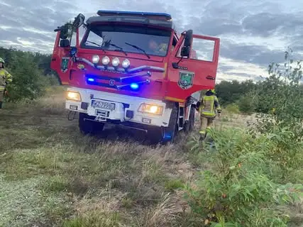 Pożar łąki na terenie Kampinoskiego Parku Narodowego — interweniowały zastępy OSP i PSP
