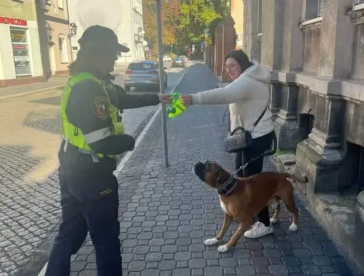Straż Miejska w Lesznie rozdaje odblaskowe obroże i worki na psie odchody