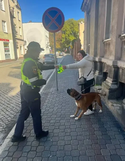 Straż Miejska w Lesznie rozdaje odblaskowe obroże i worki na psie odchody