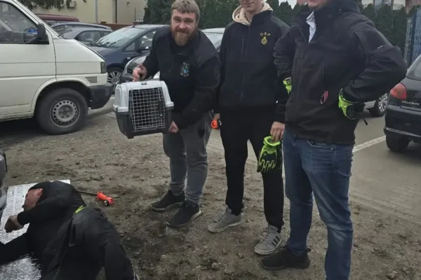 Kociak uwięziony pod maską samochodu uratowany przez OSP Leszno