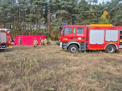 Manewry ratowniczo-techniczne w Rydzynie: strażacy ćwiczyli wypadek masowy i poszukiwania w lesie