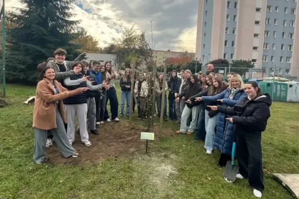 Nowe drzewa w Lesznie: graby w parku Grody Leszczyńskie i buk przy Berwińskich