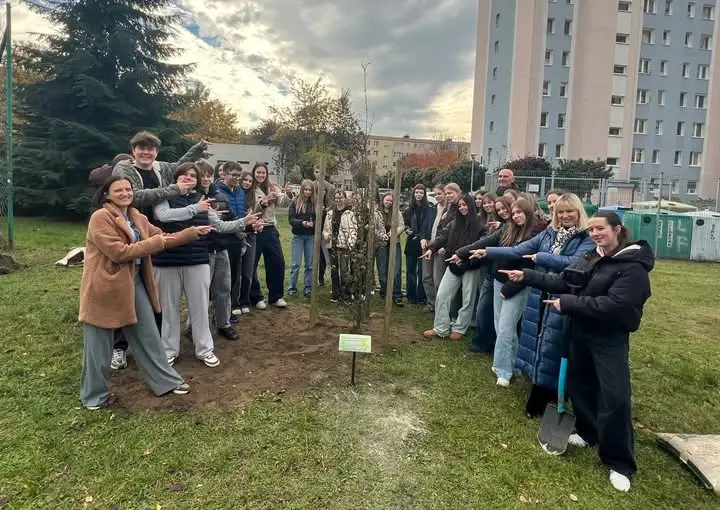 Nowe drzewa w Lesznie: graby w parku Grody Leszczyńskie i buk przy Berwińskich